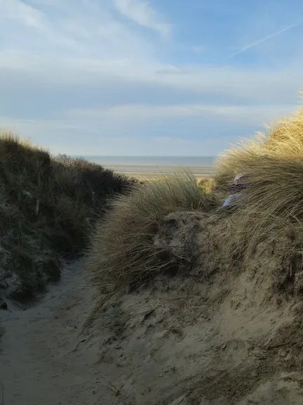 Oostnieuwkerke duinen wandeling in de koude (België)